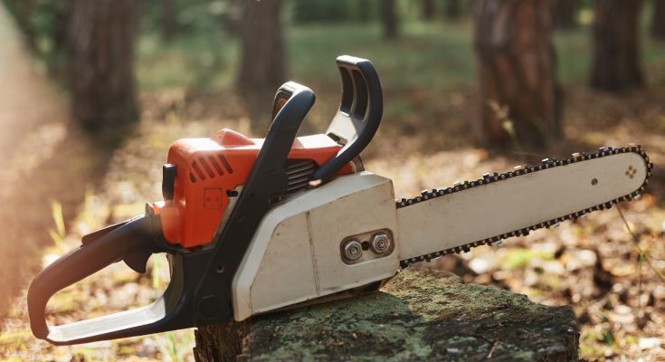 Powerful Best Chainsaws for 2026 – Top Picks for Every Job