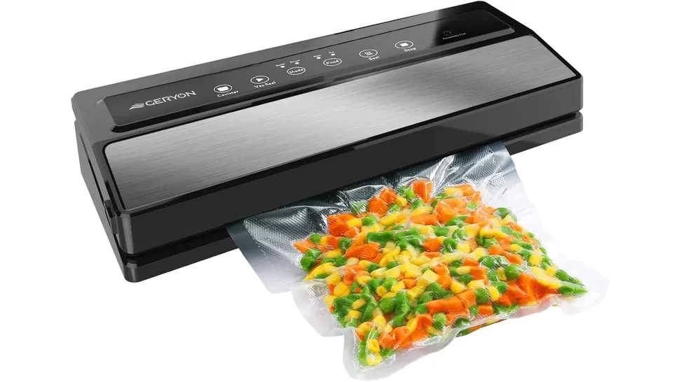 Best Vacuum Food Sealers
