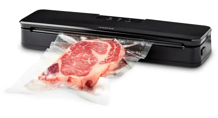 Best Vacuum Food Sealers