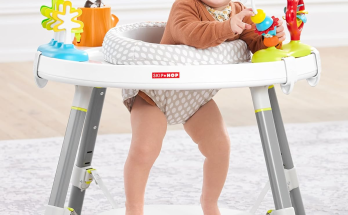 Skip Hop Explore Review 2026