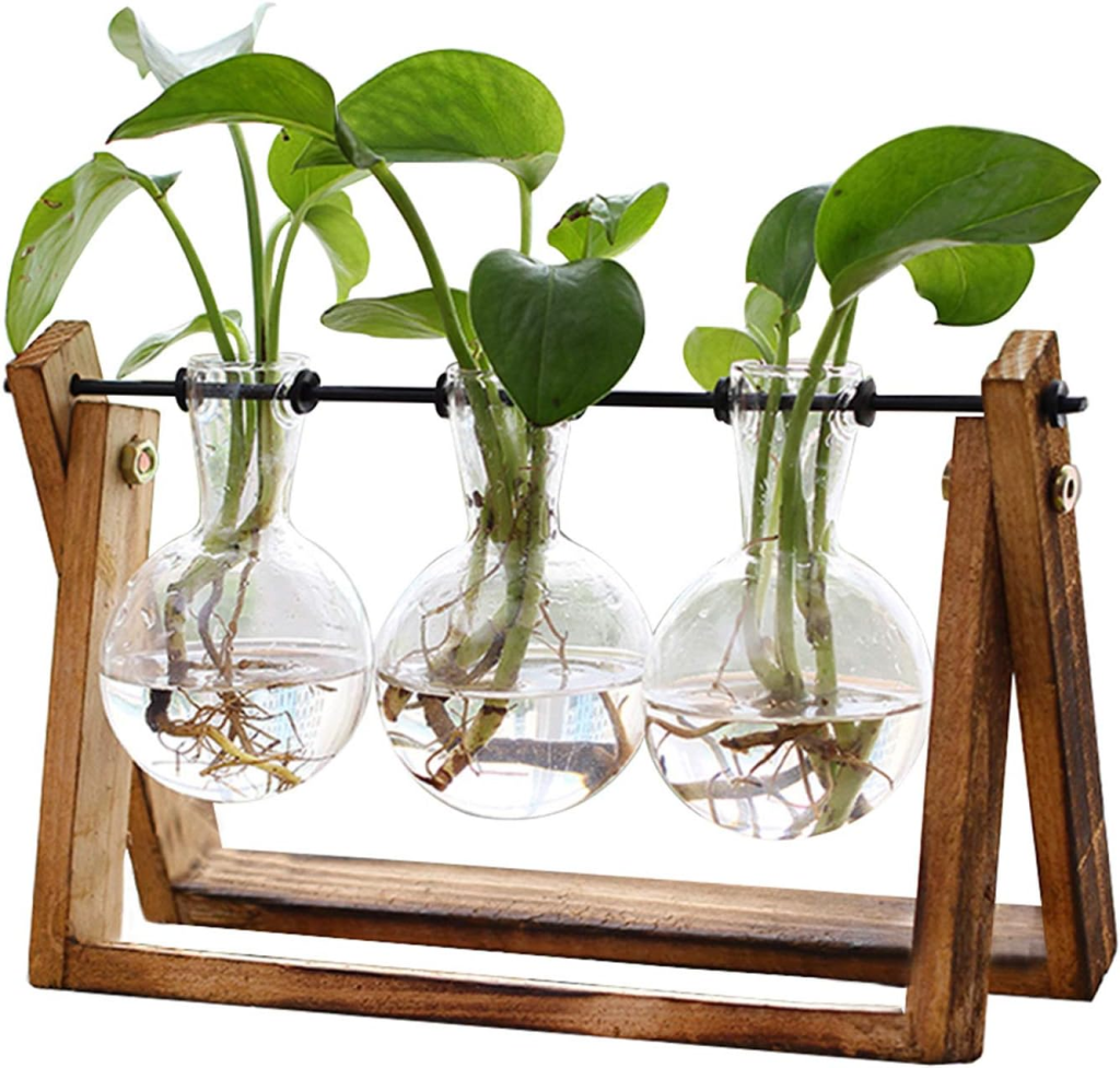 Glass Terrarium Planter for Home Decor