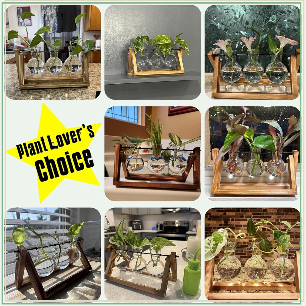 Glass Terrarium Planter for Home Decor