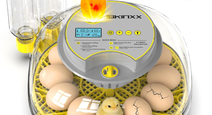 Automatic Egg Incubator Review