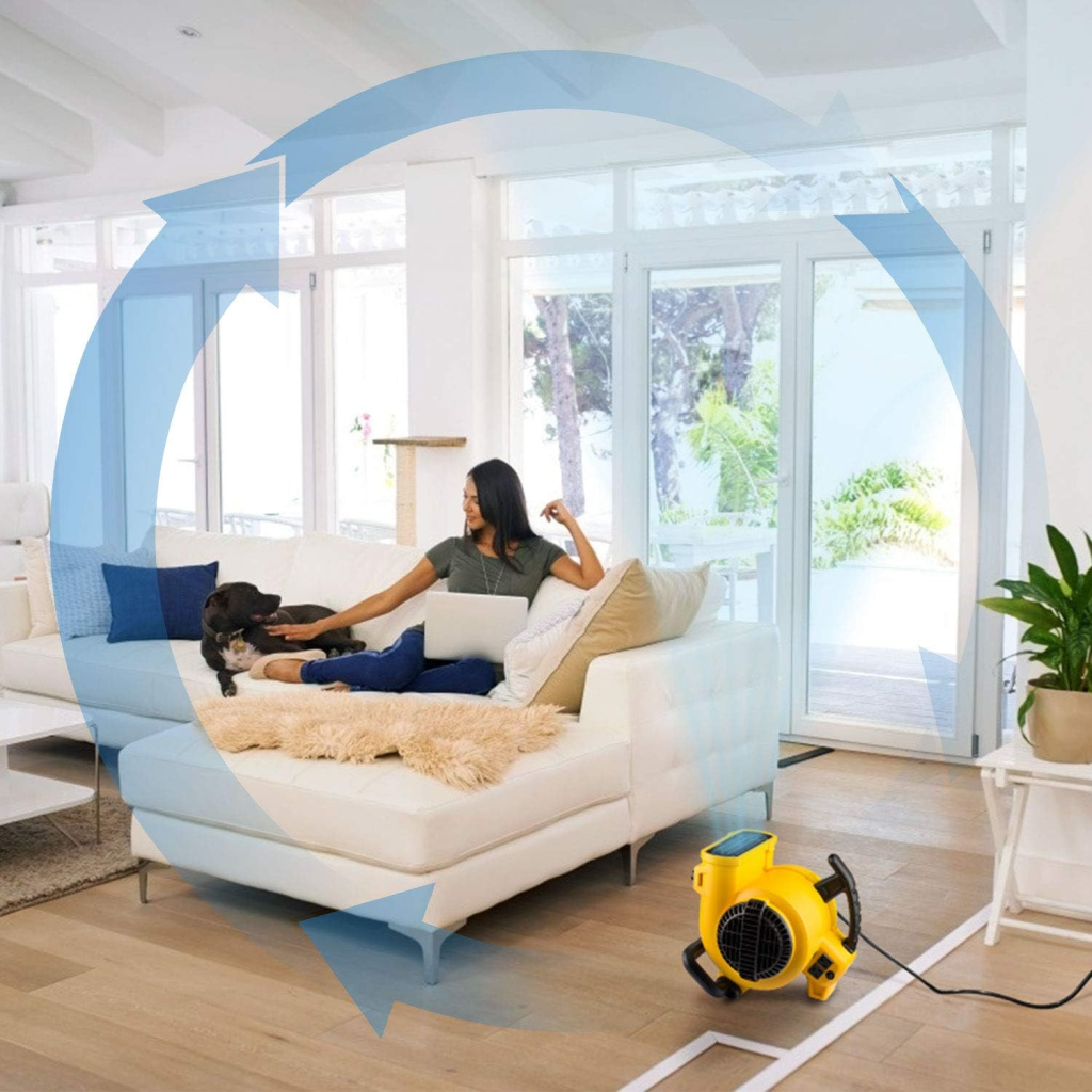 EWALT DXAM-2260 Air Mover